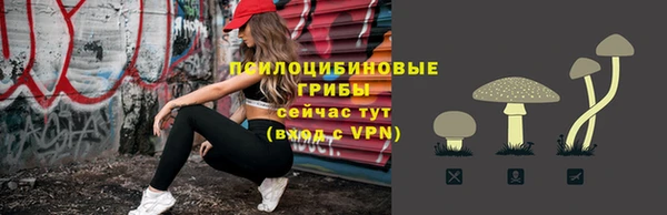крисы Алексин