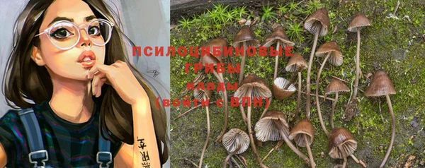 ECSTASY Алексеевка