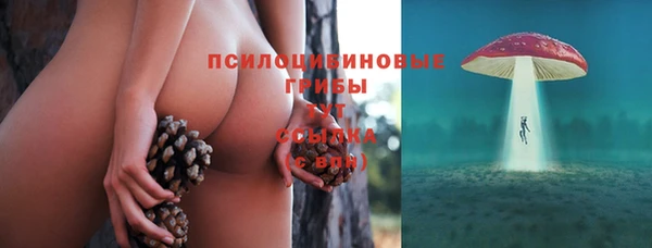 ECSTASY Алексеевка