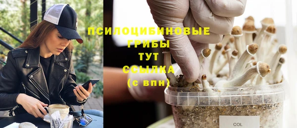 ECSTASY Алексеевка