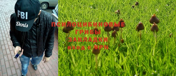 крисы Алексин