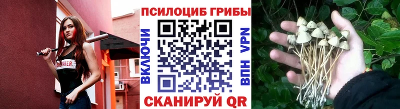 Галлюциногенные грибы Magic Shrooms  что такое   Геленджик 
